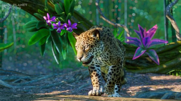 Picture of Planet Zoo: South America Pack
