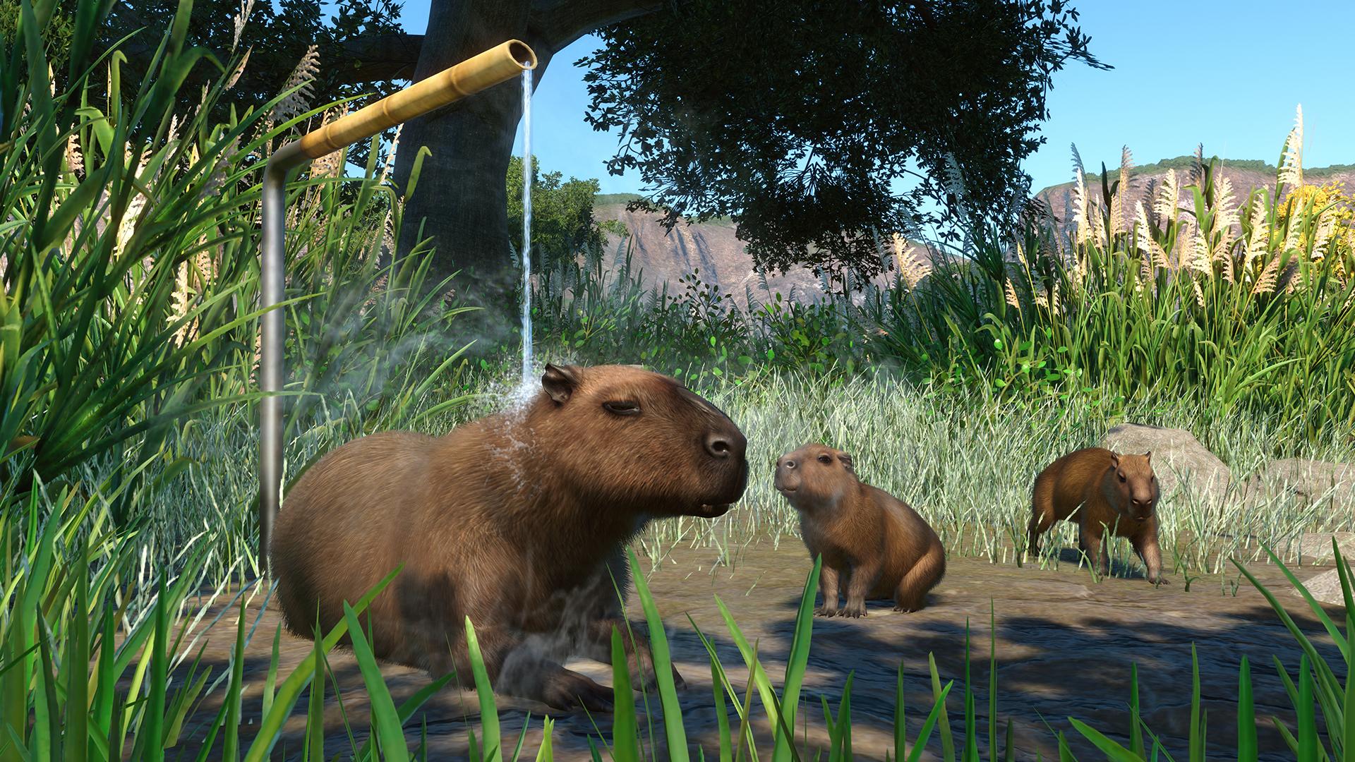 Picture of Planet Zoo: Wetlands Animal Pack