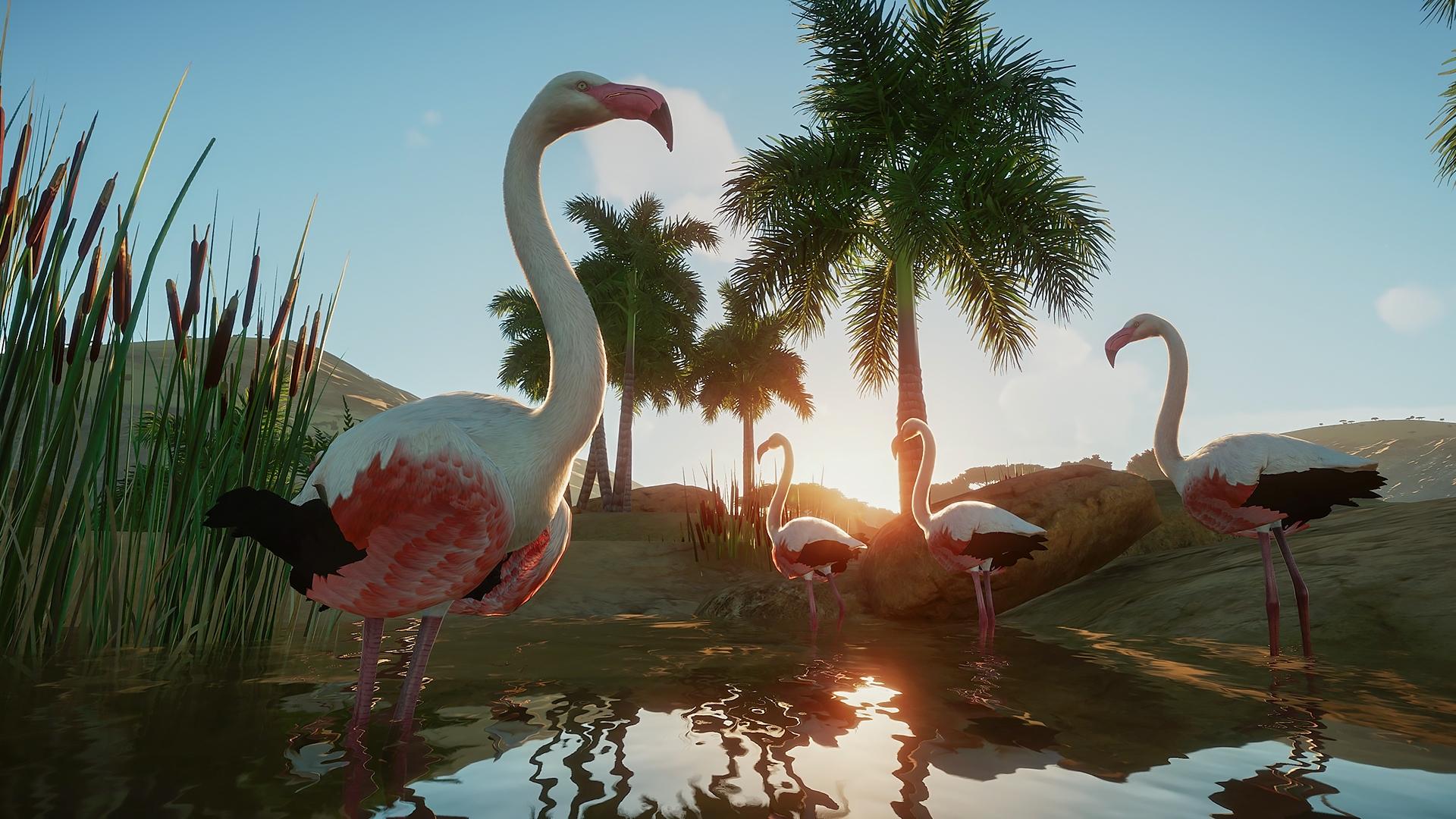 Picture of Planet Zoo