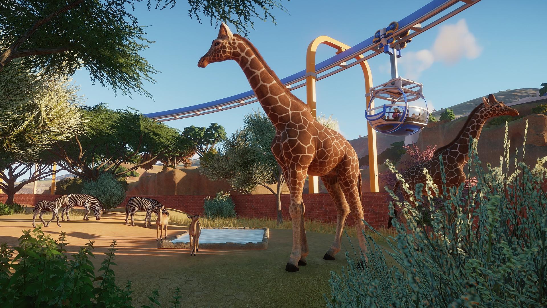 Picture of Planet Zoo