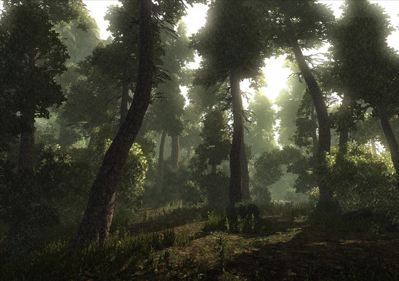 Picture of Risen - Xbox One