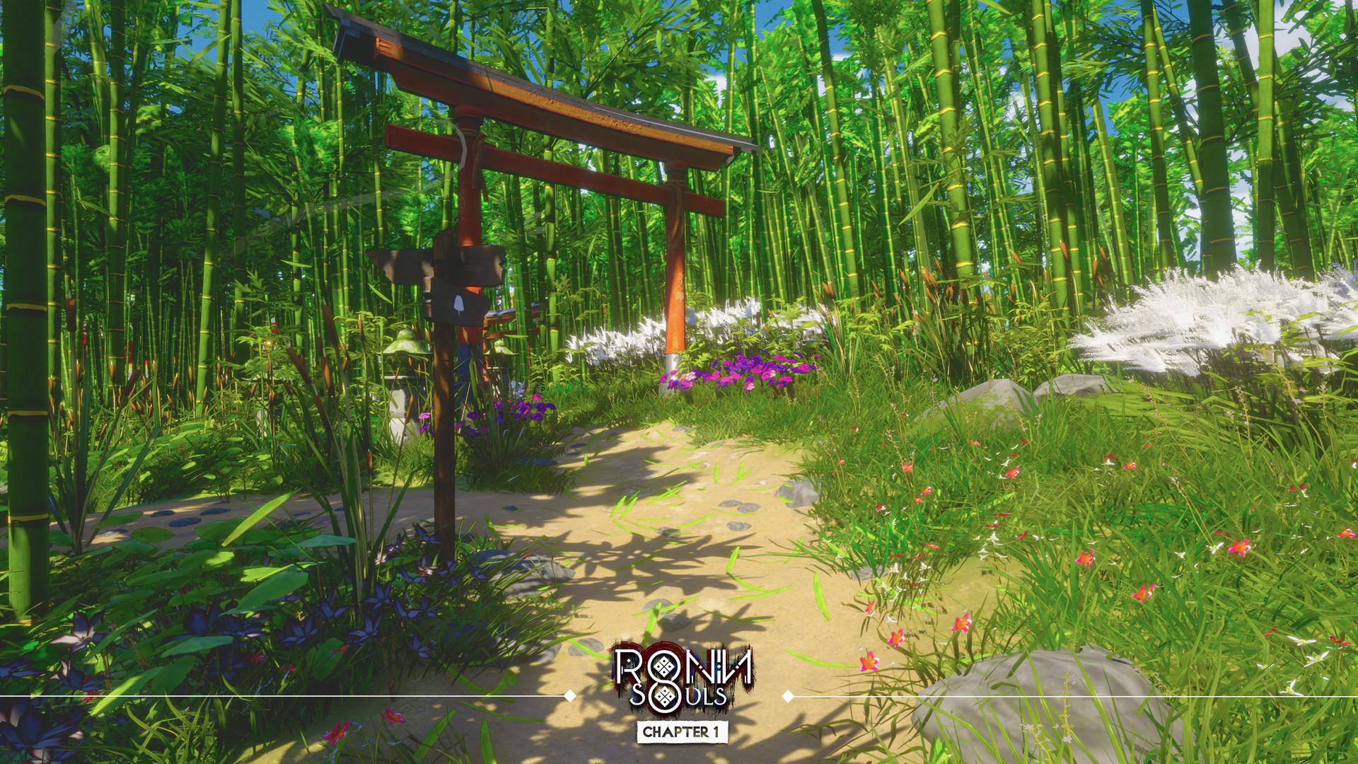 Picture of RONIN: Two Souls CHAPTER 1