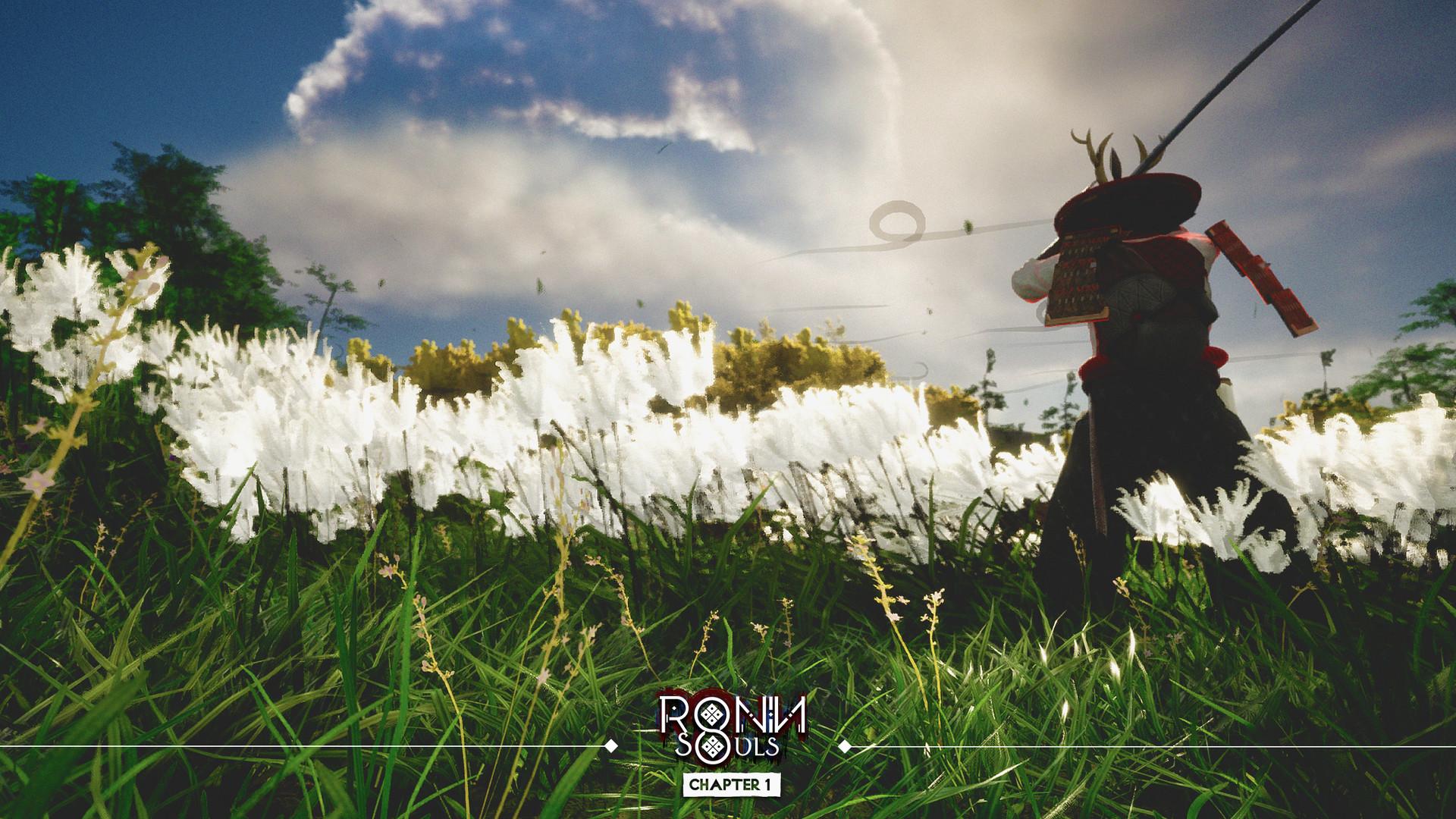 Picture of RONIN: Two Souls CHAPTER 1