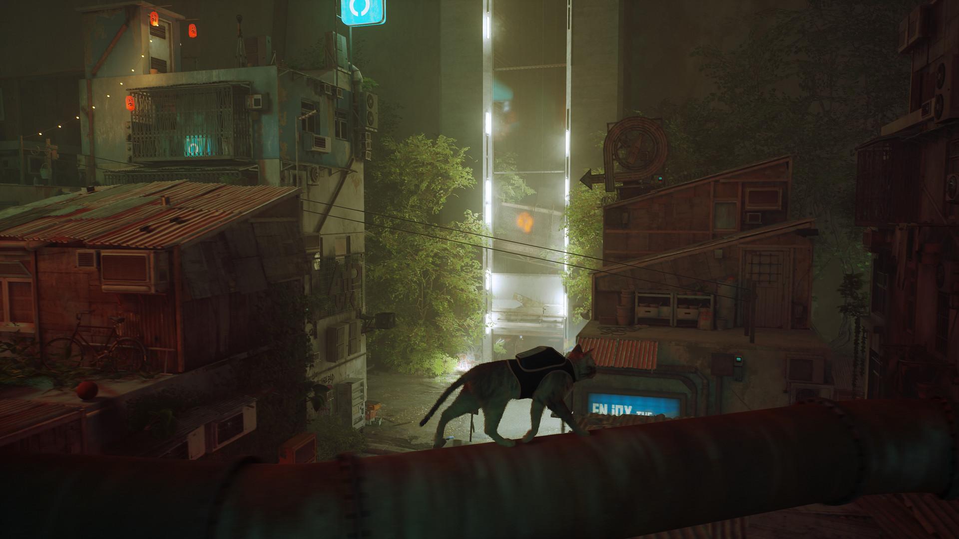Picture of Stray