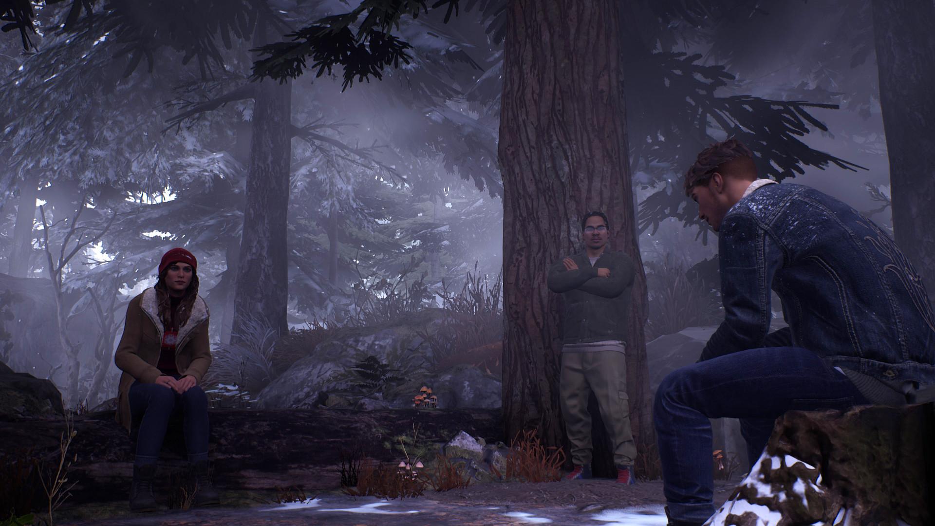 Picture of Tell Me Why - Xbox One
