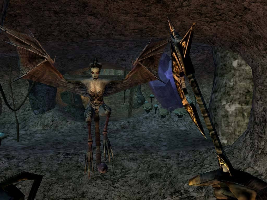Picture of The Elder Scrolls III: Morrowind Game of the Year Edition