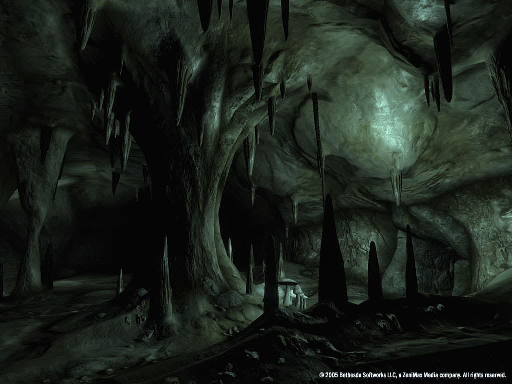 Picture of The Elder Scrolls IV: Oblivion Game of the Year Edition