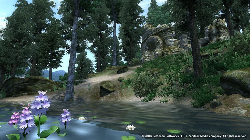 Picture of The Elder Scrolls IV: Oblivion Game of the Year Edition