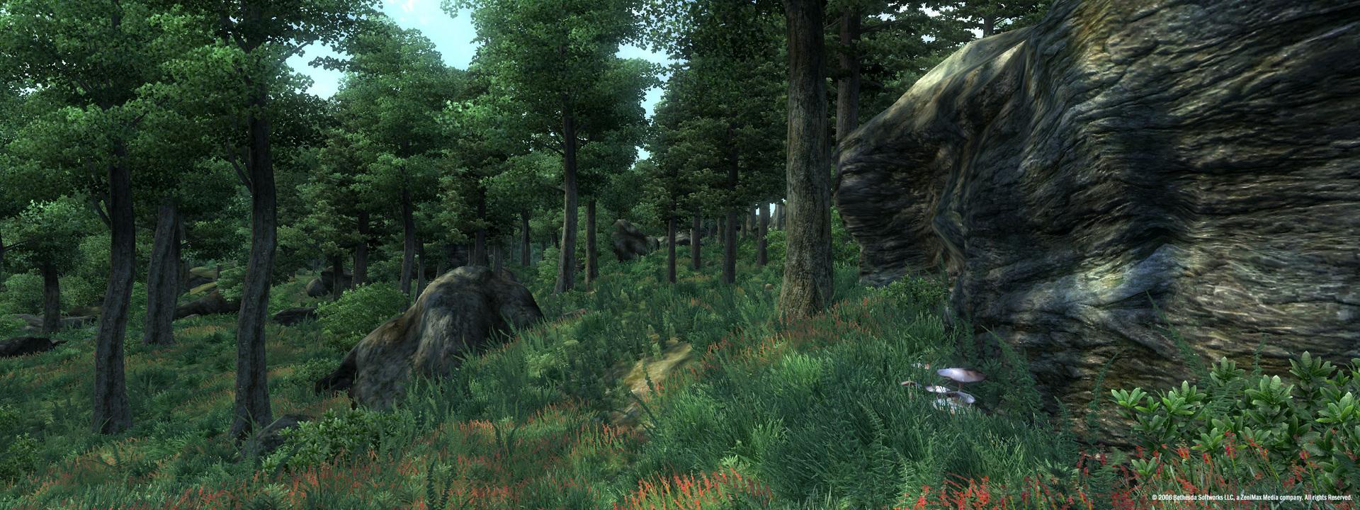 Picture of The Elder Scrolls IV: Oblivion Game of the Year Edition