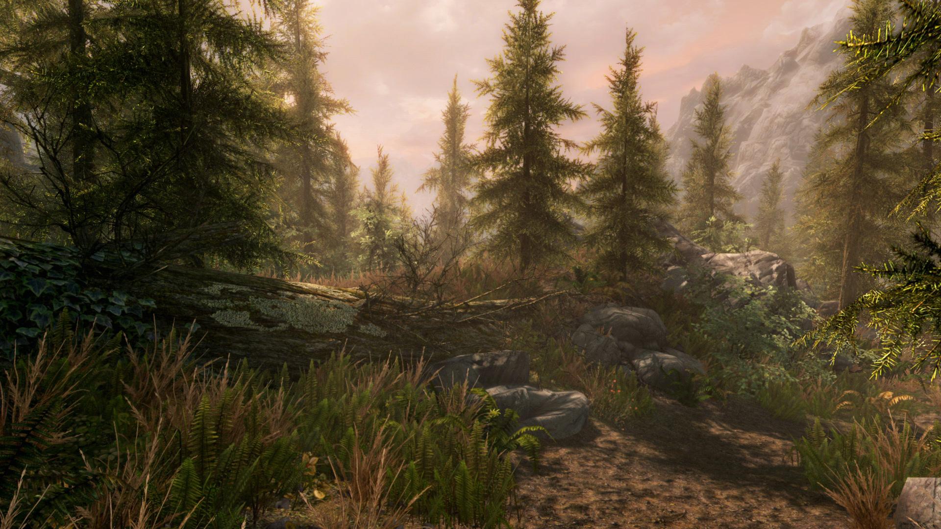 Picture of The Elder Scrolls V: Skyrim Special Edition