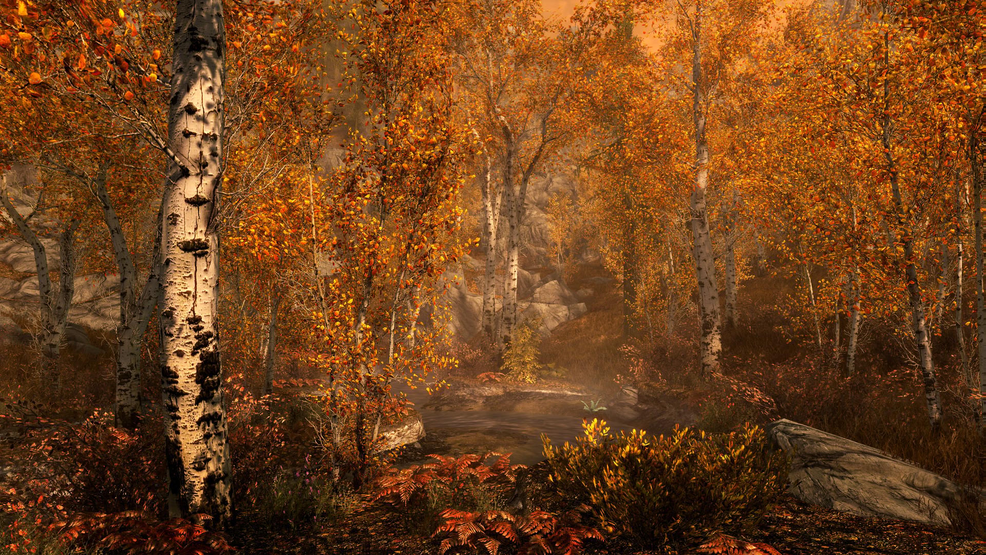 Picture of The Elder Scrolls V: Skyrim Special Edition