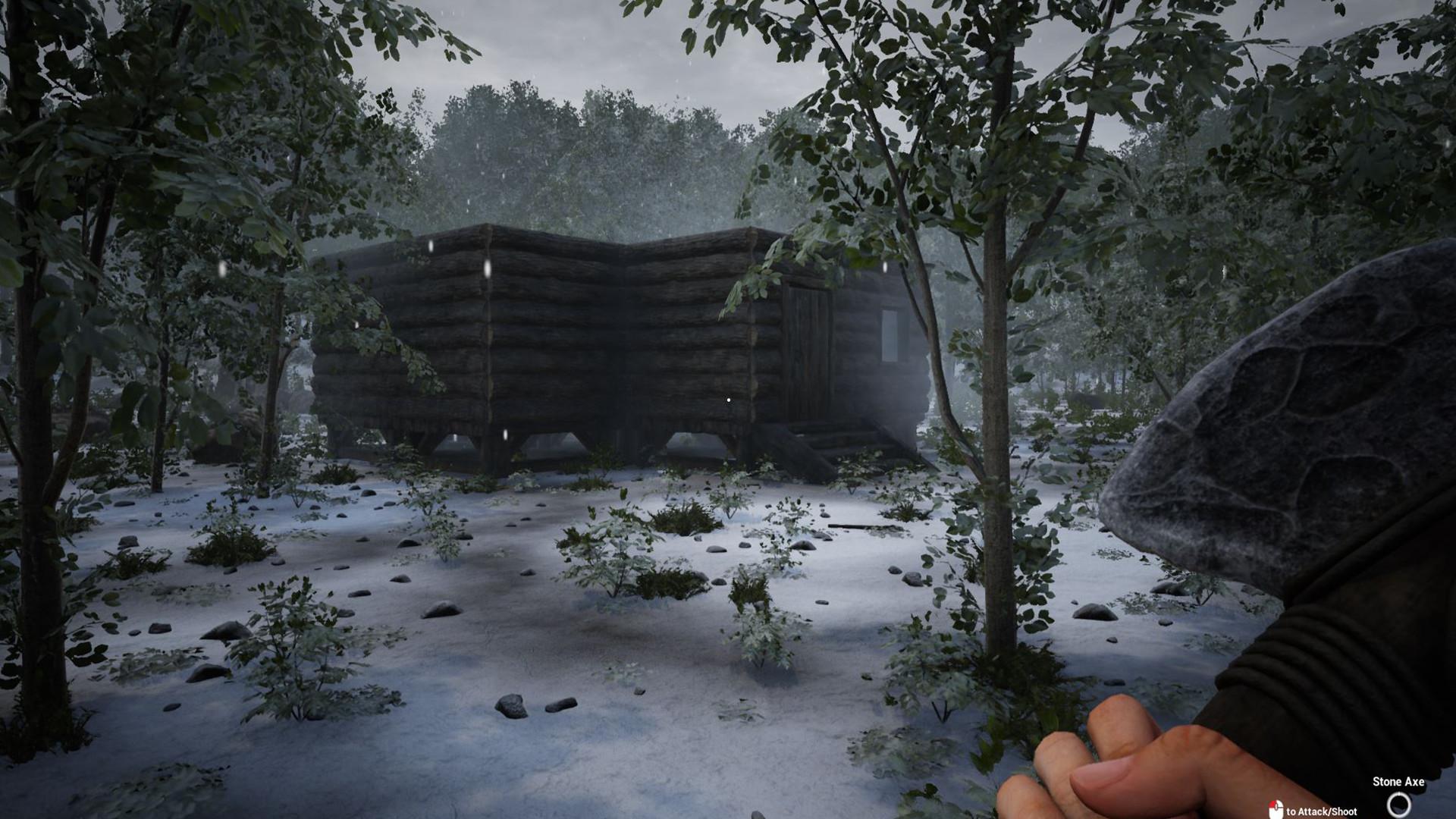 Picture of The Infected