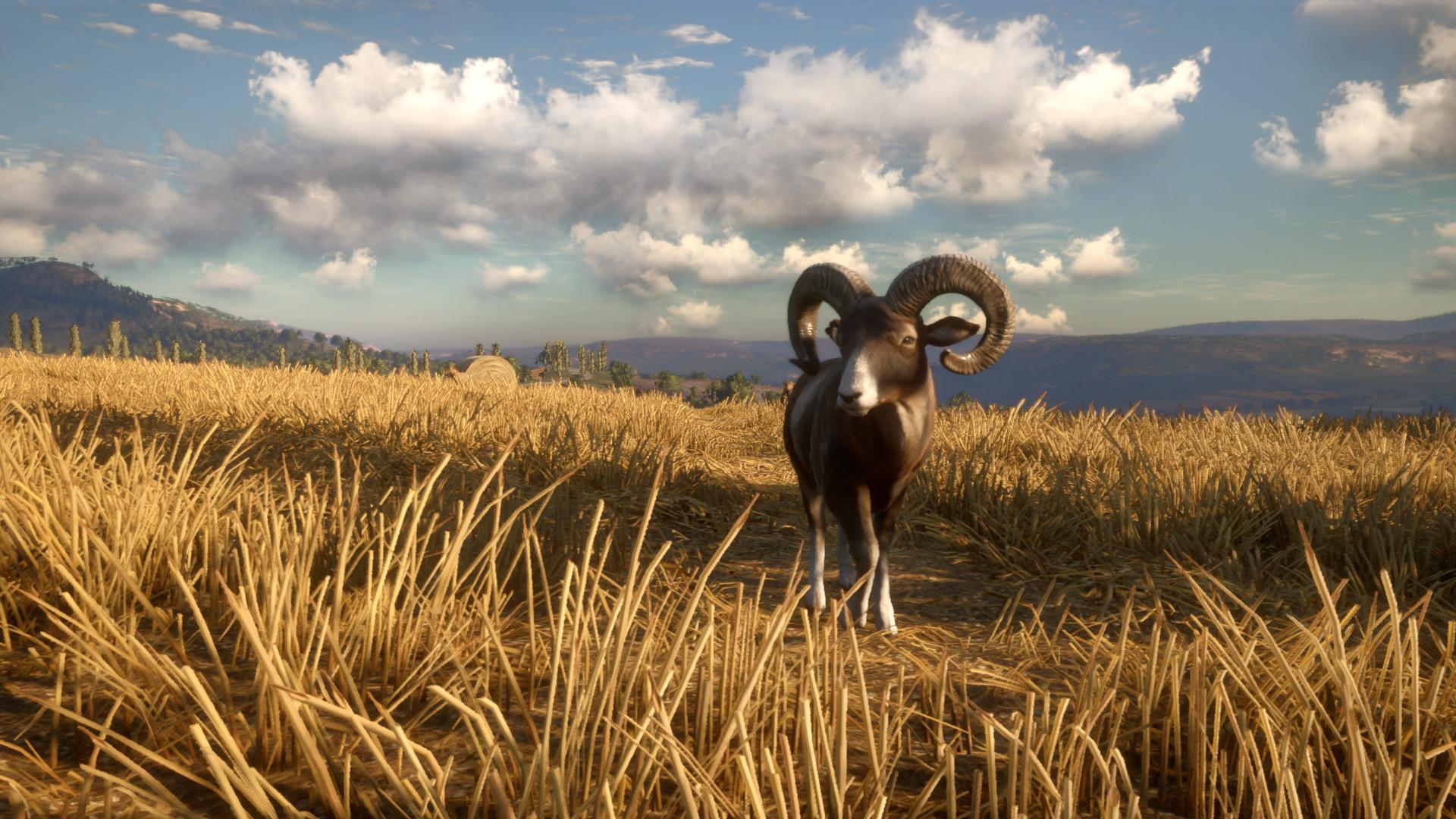 theHunter: Call of the Wild™ - Cuatro Colinas Game Reserve