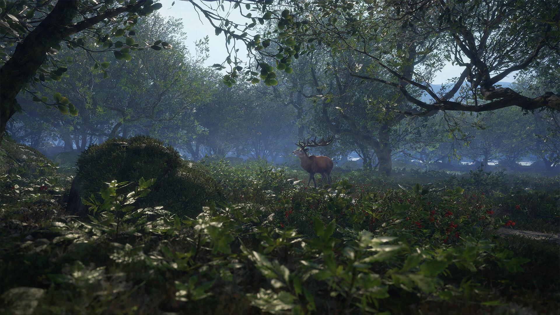 /content/products/gallery/