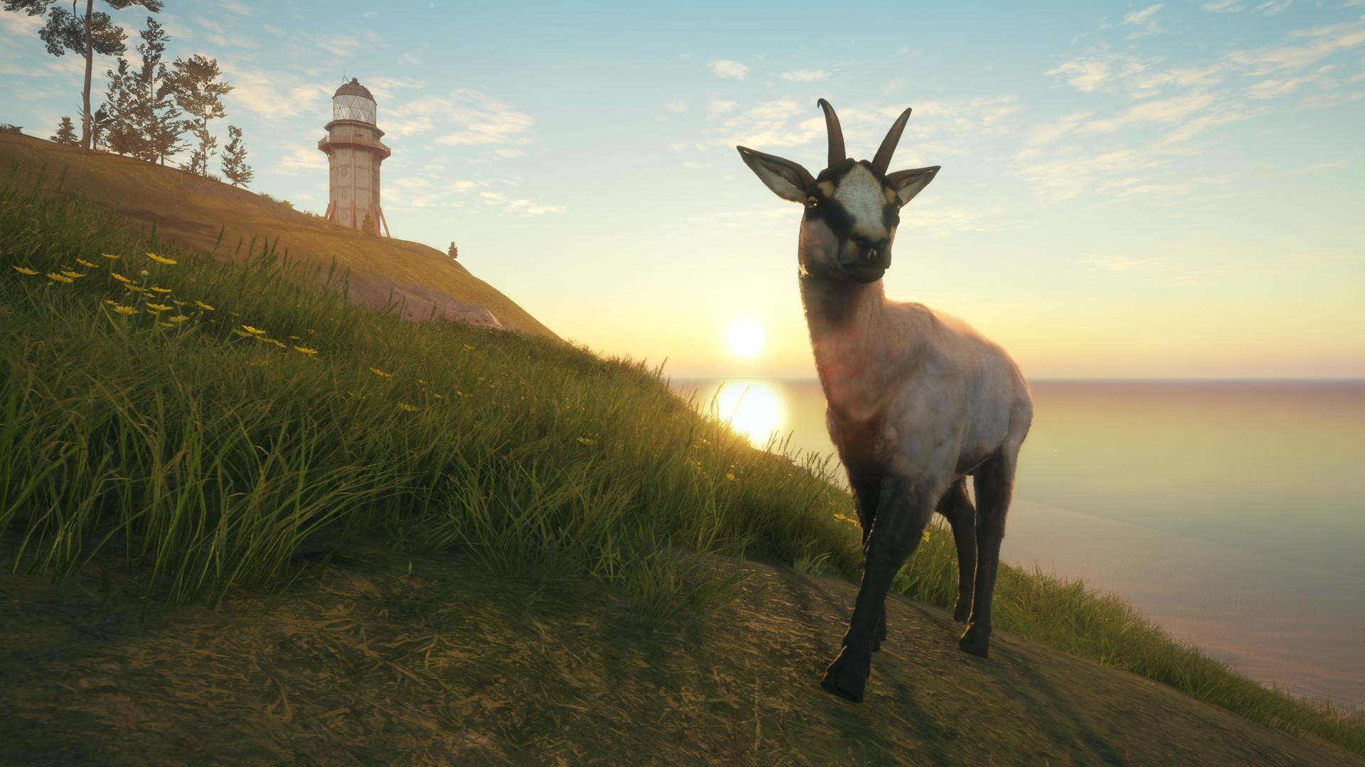 theHunter: Call of the Wild™ - Te Awaroa National Park