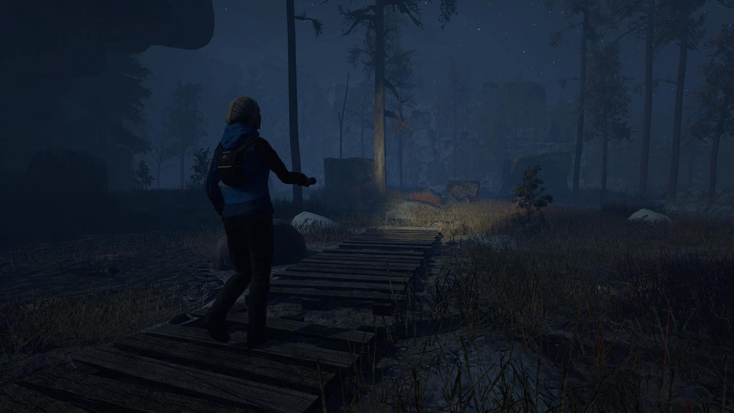 Picture of Through the Woods