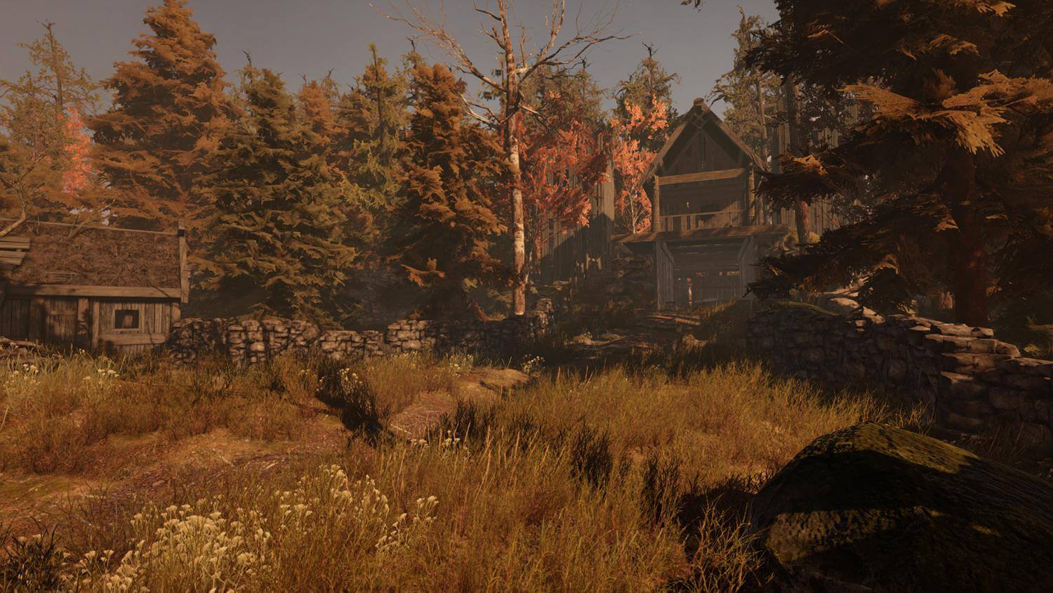 Picture of Through the Woods
