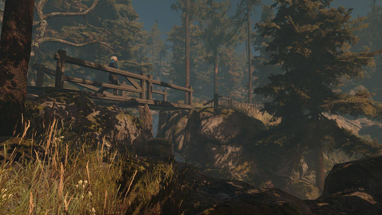 Picture of Through the Woods