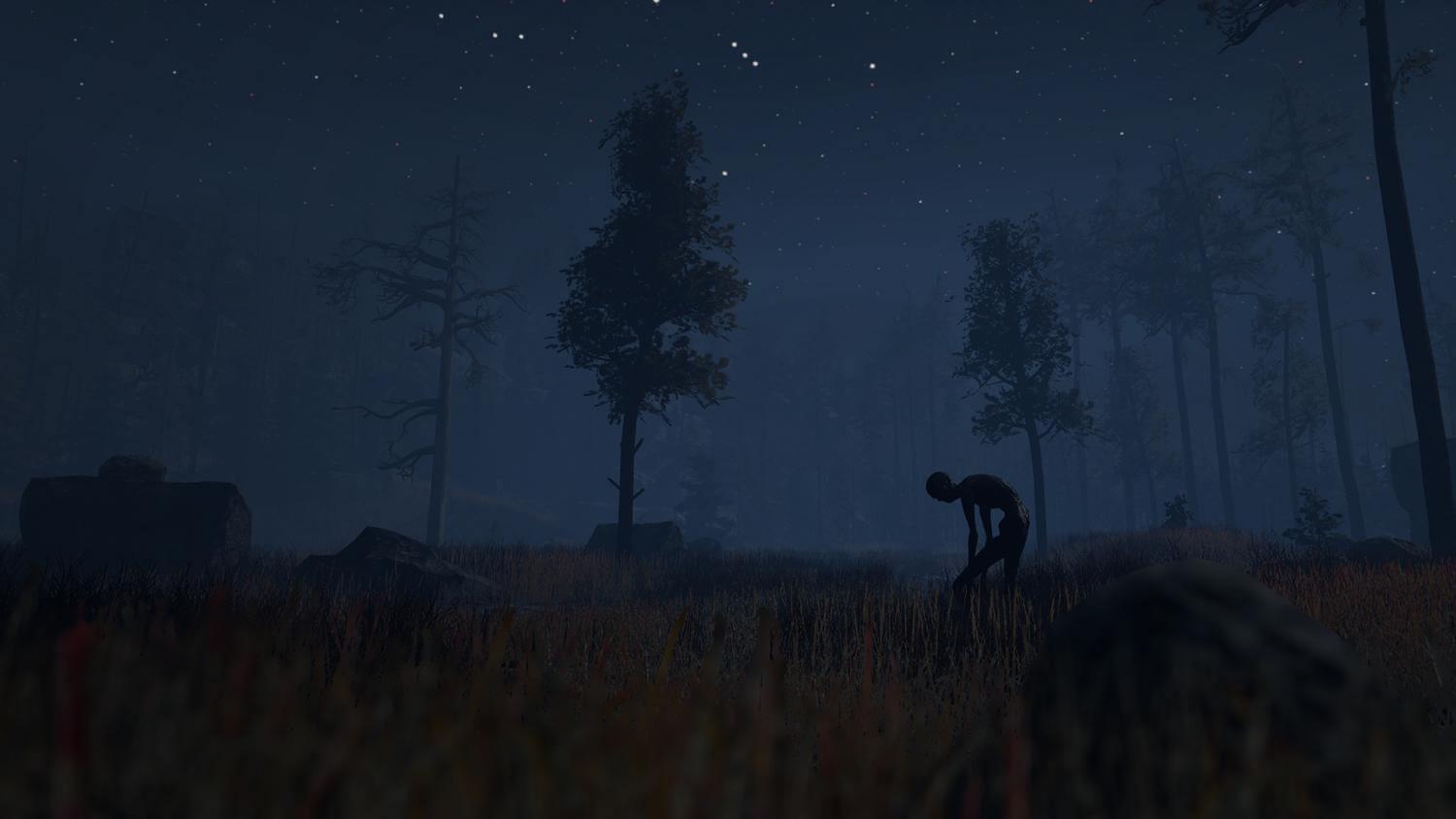 Picture of Through the Woods