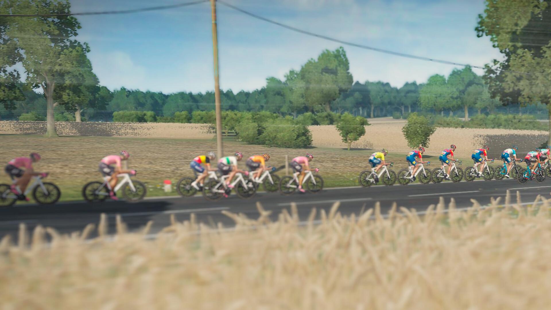 Picture of Tour de France 2024