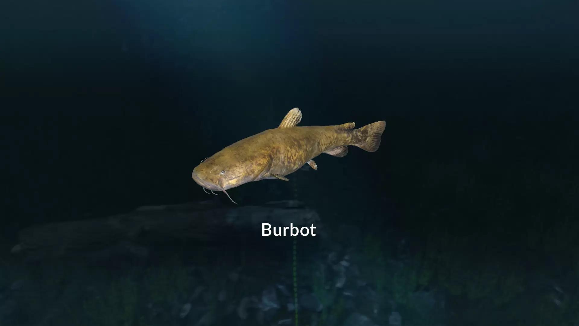 Ultimate Fishing Simulator - New Fish Species