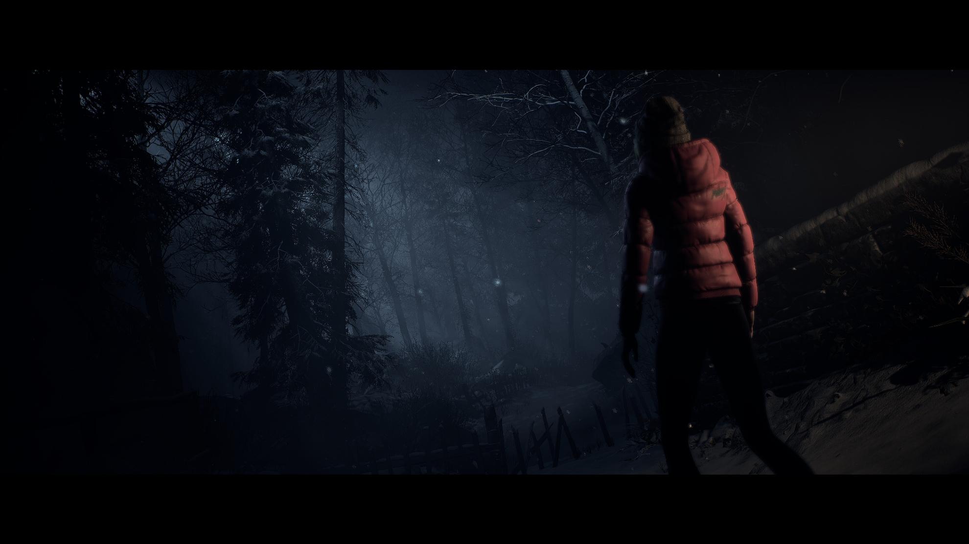 Picture of Until Dawn