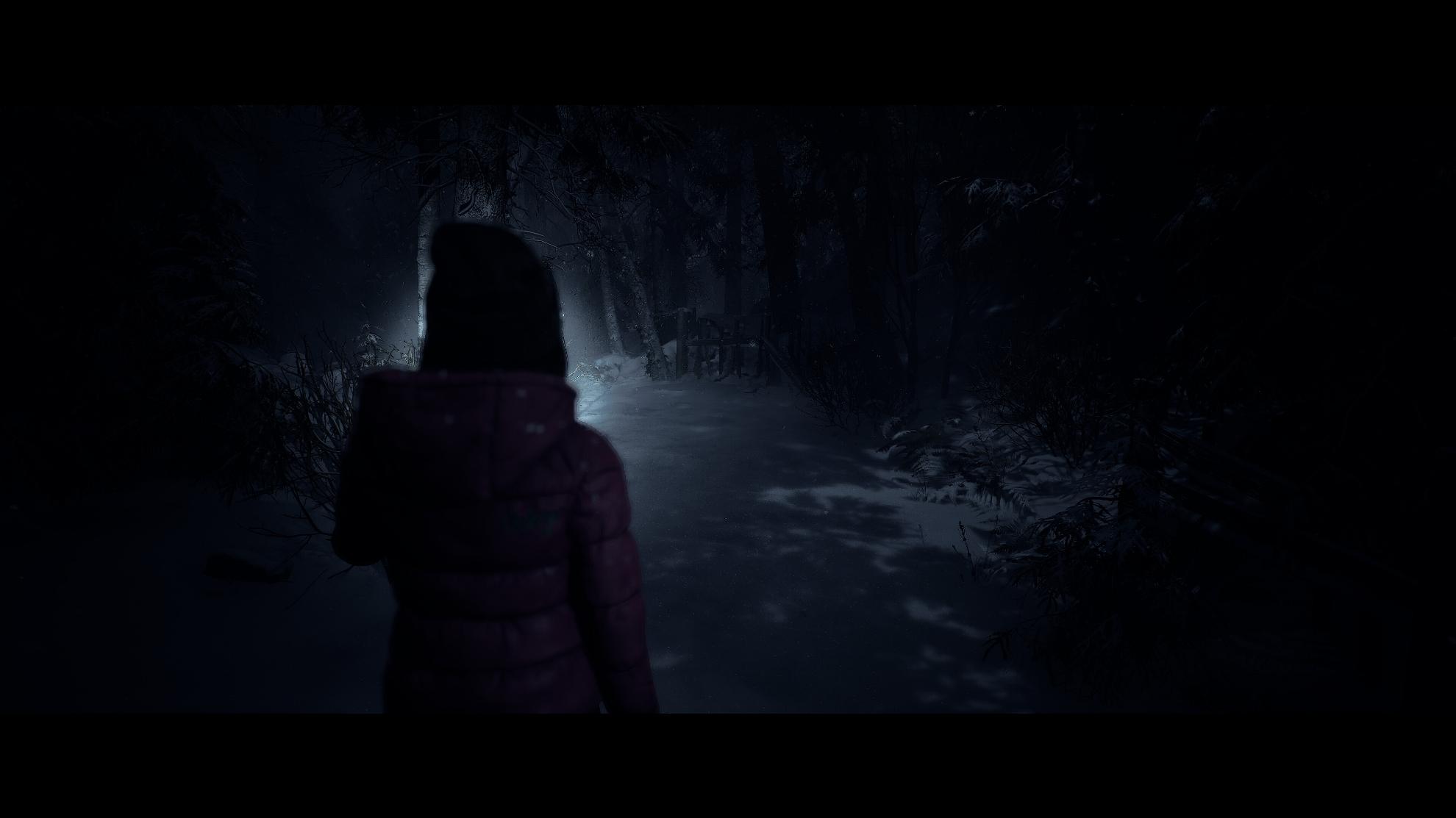 Picture of Until Dawn