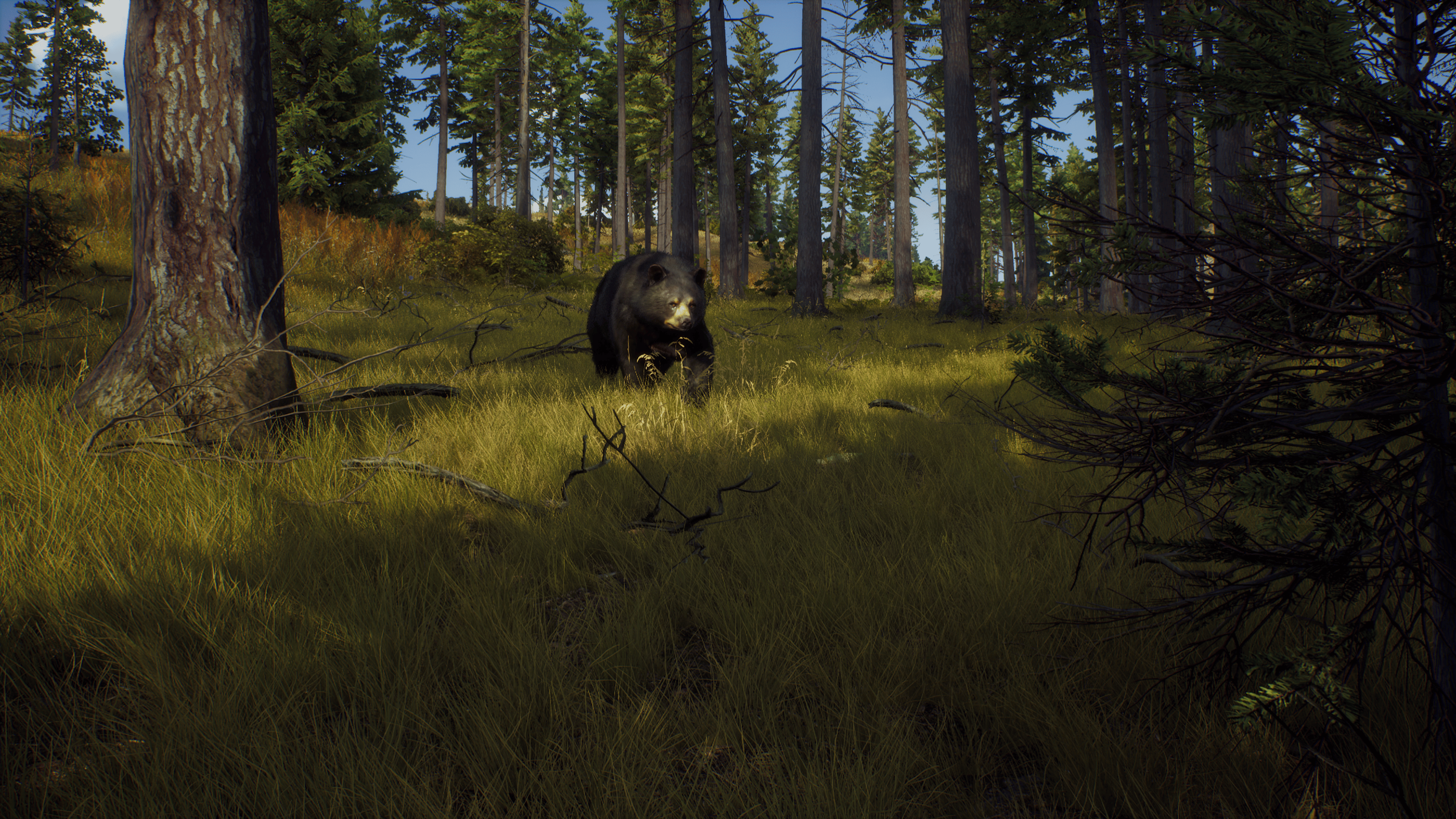 Picture of Way of the Hunter: Elite Edition