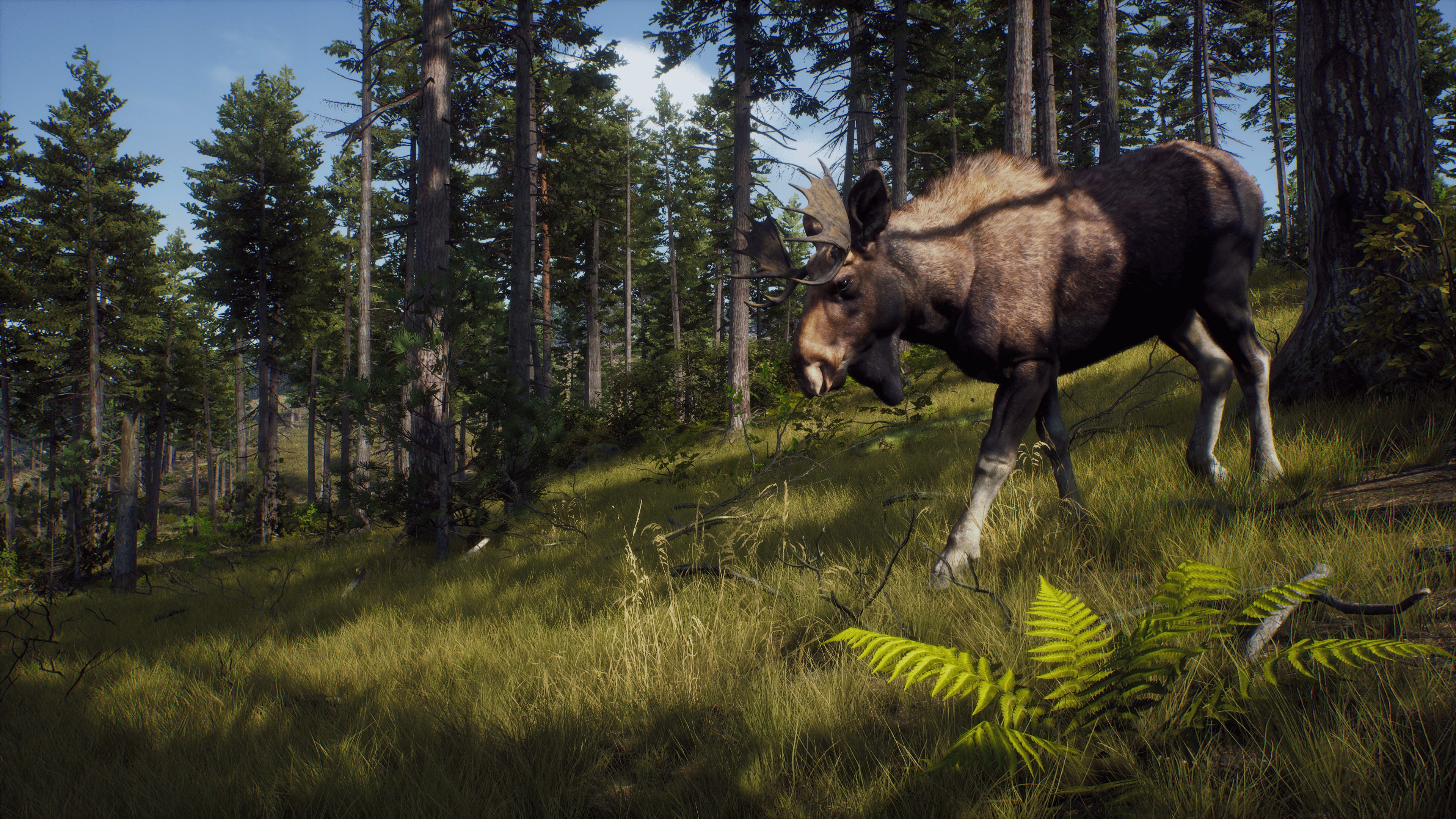 Picture of Way of the Hunter: Elite Edition