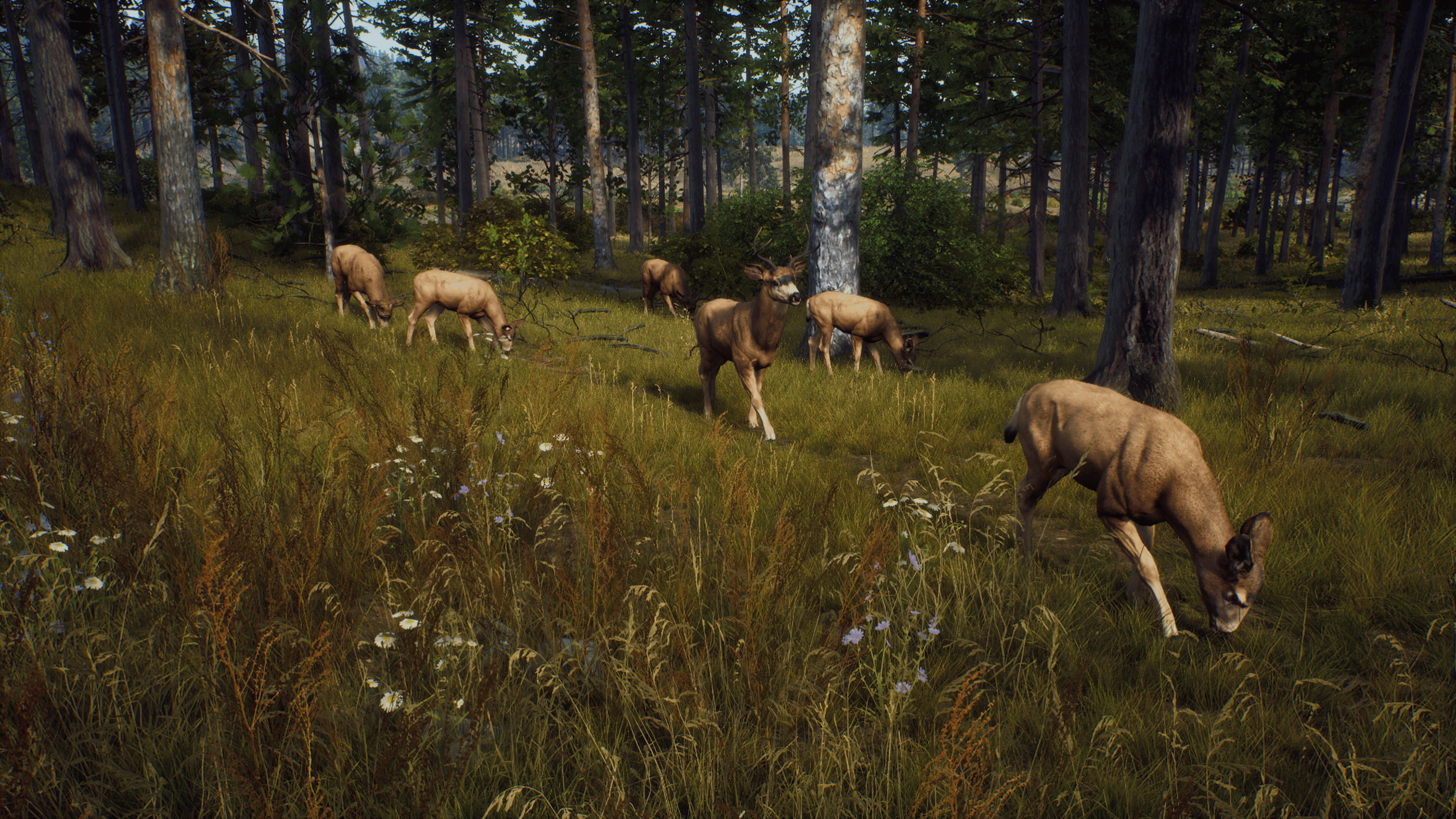 Picture of Way of the Hunter