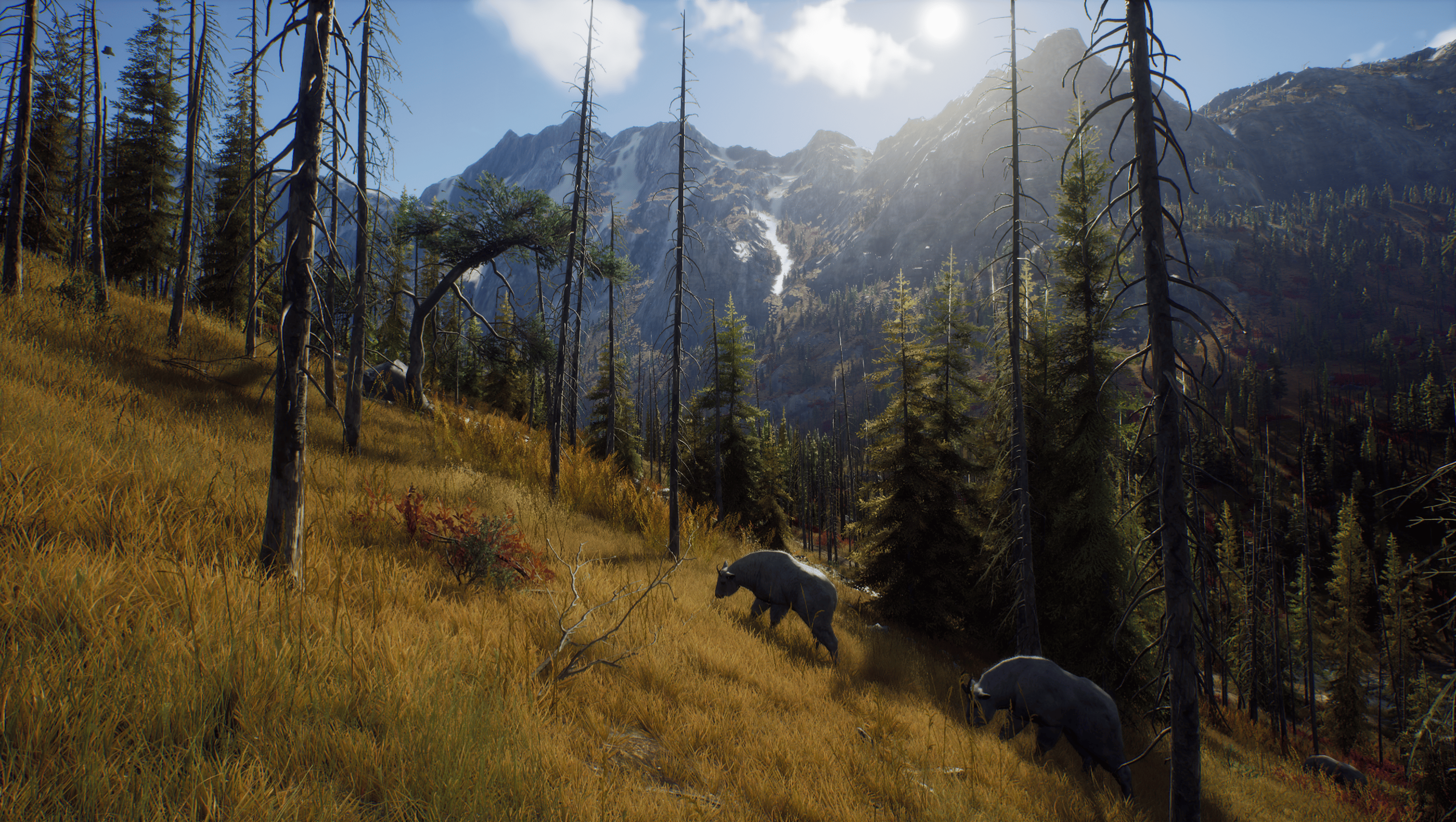 Picture of Way of the Hunter