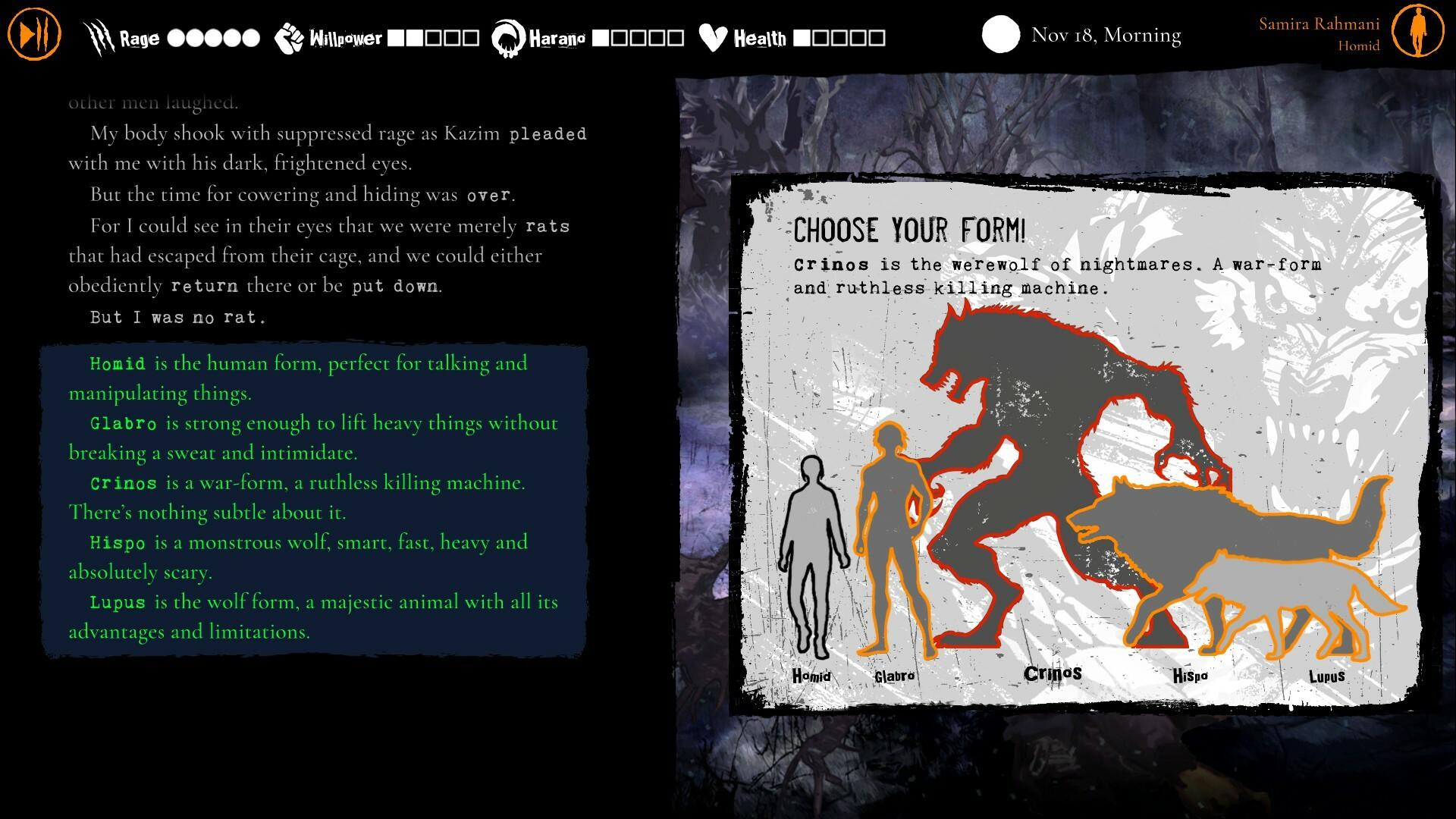 Picture of Werewolf: The Apocalypse — Purgatory