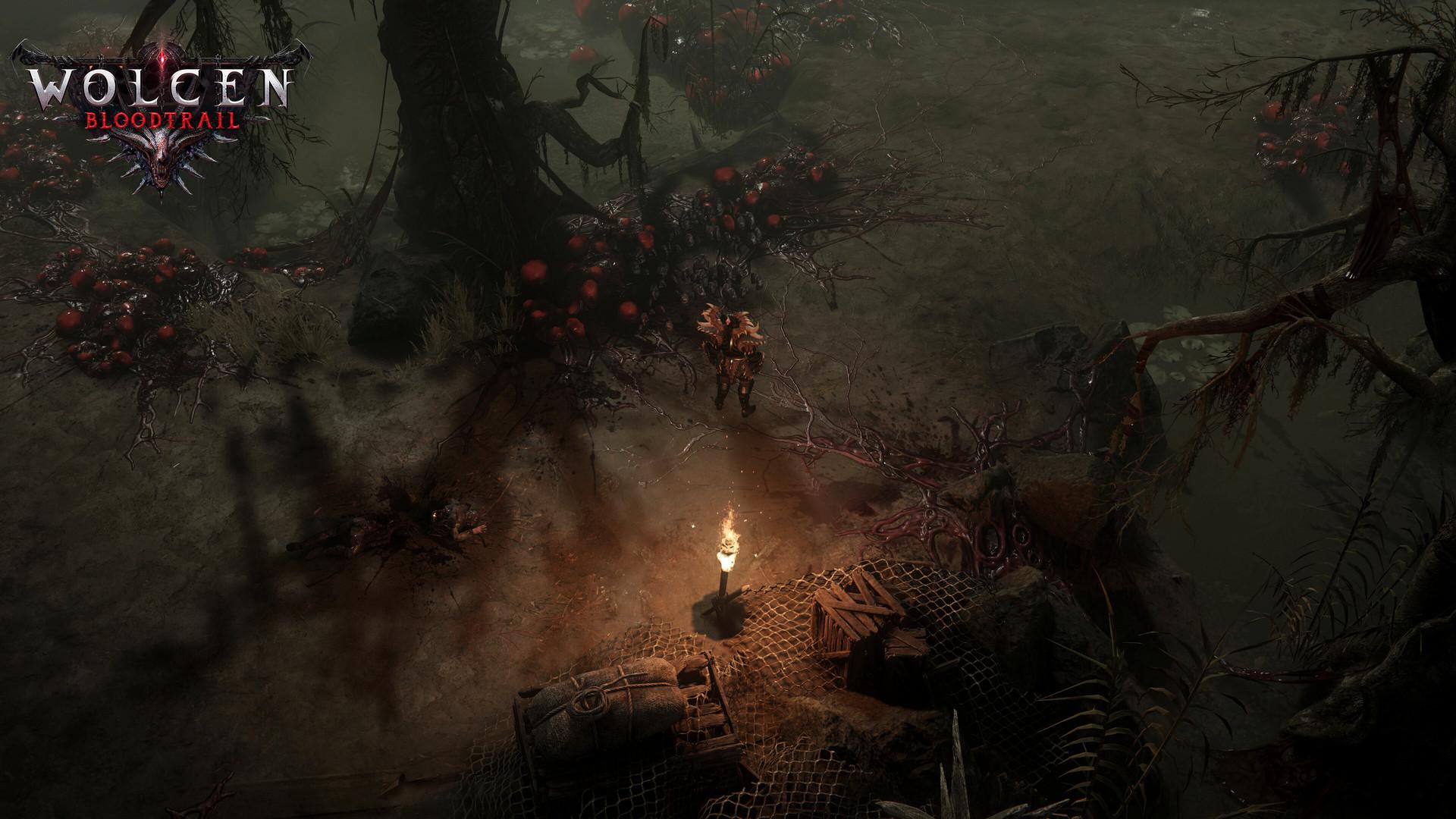 Picture of Wolcen: Lords of Mayhem