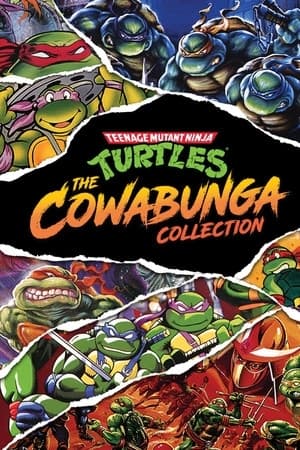 Teenage Mutant Ninja Turtles: The Cowabunga Collection (US)