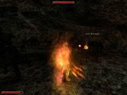 Picture of Gothic 2 Gold