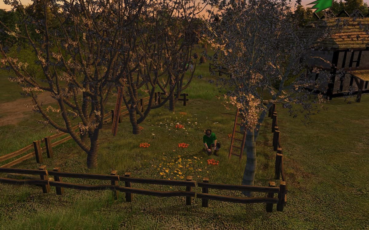 Picture of The Guild 2 Renaissance