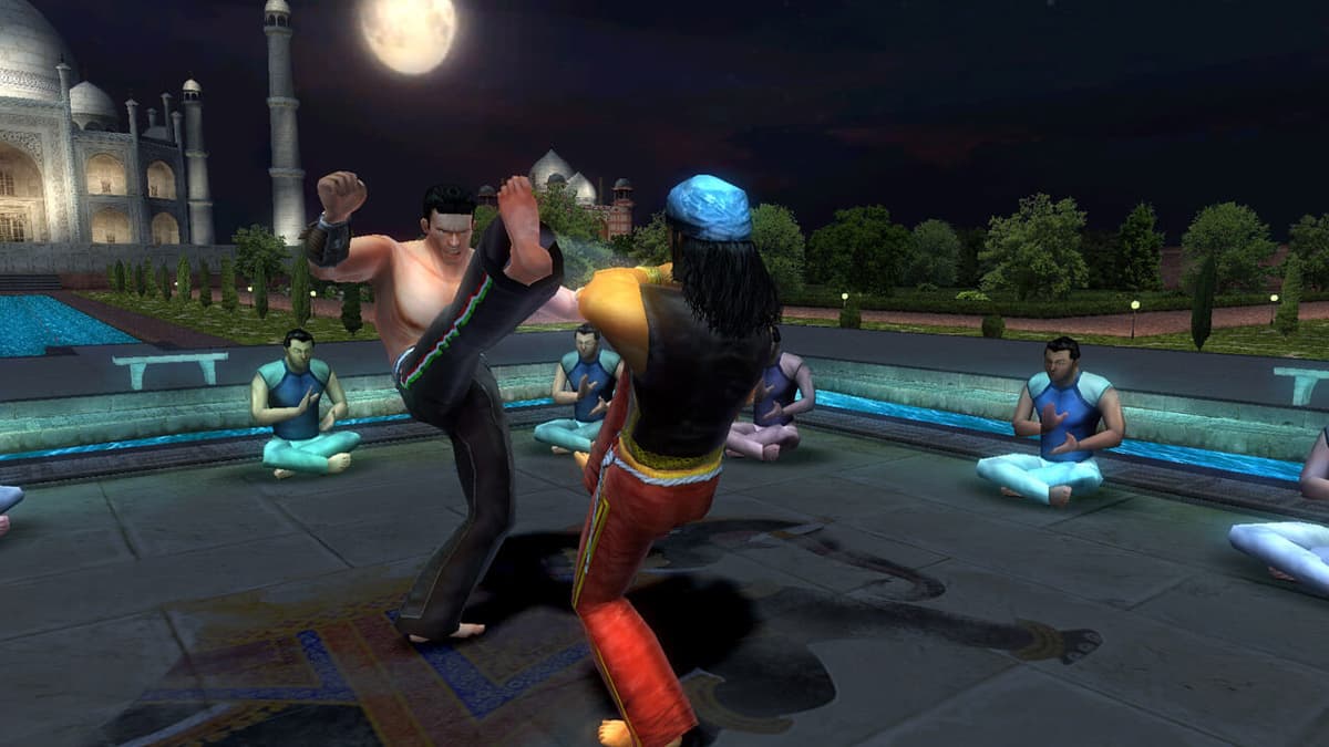 Picture of Martial Arts: Capoeira