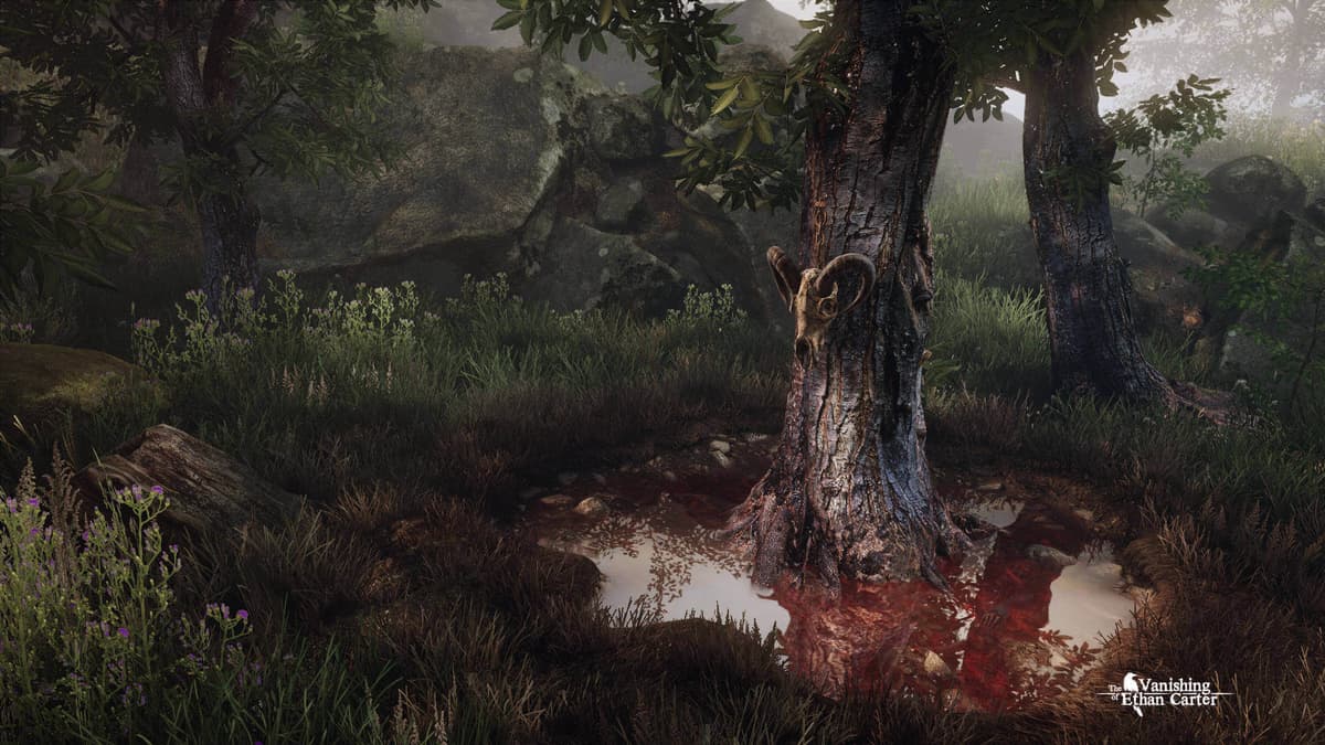 Picture of The Vanishing of Ethan Carter