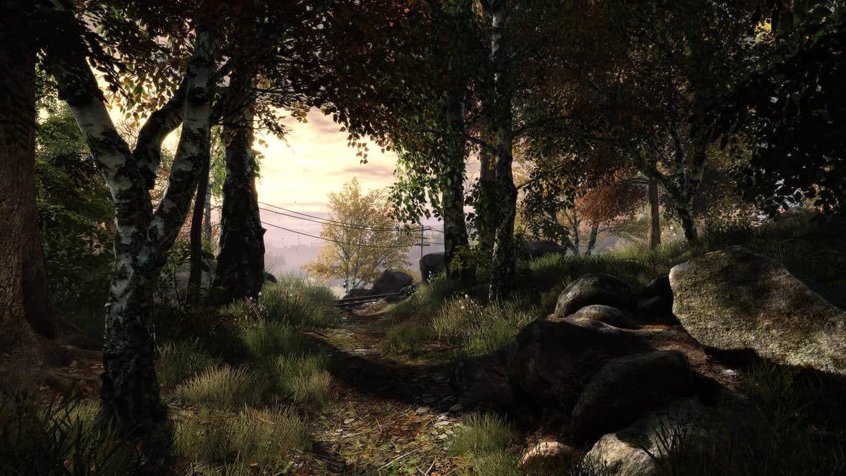 Picture of The Vanishing of Ethan Carter