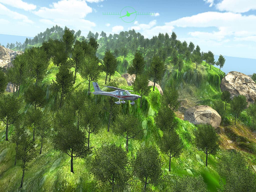 Picture of Island Flight Simulator