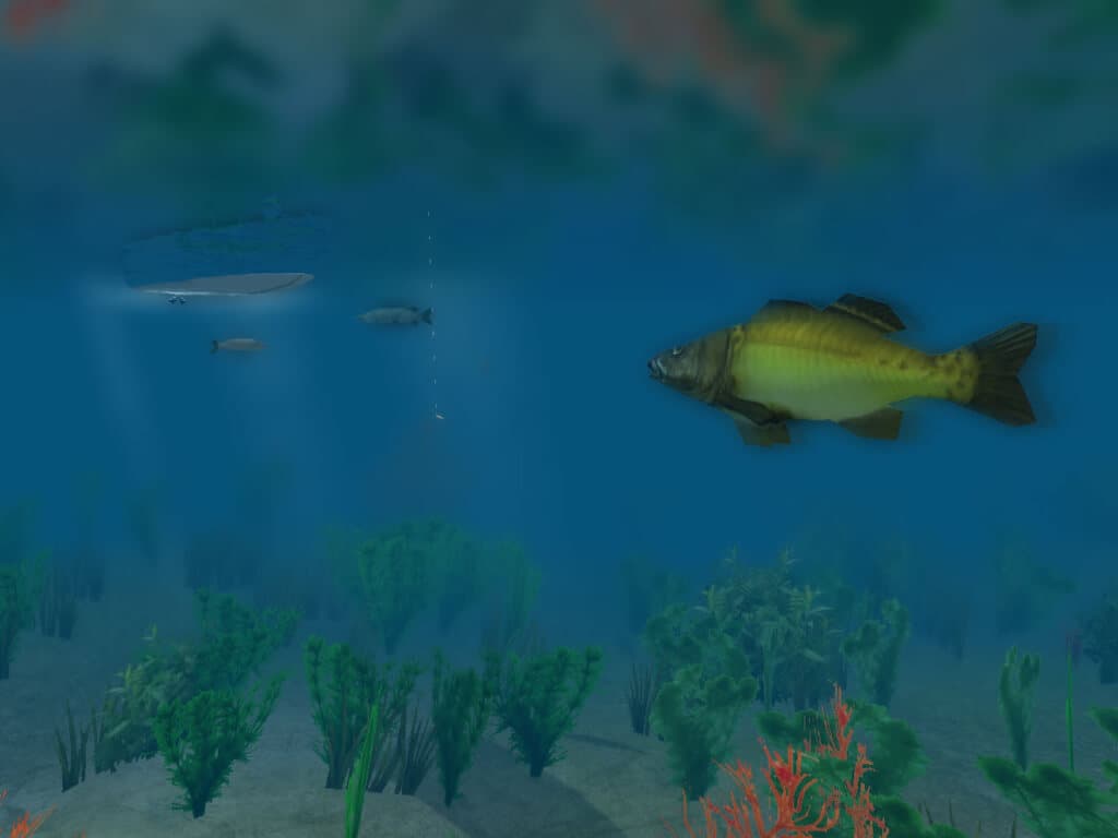 Picture of European Fishing