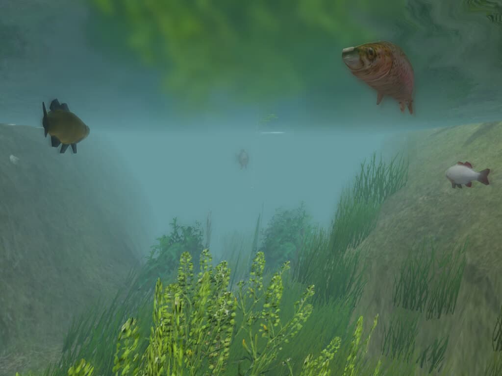 Picture of European Fishing