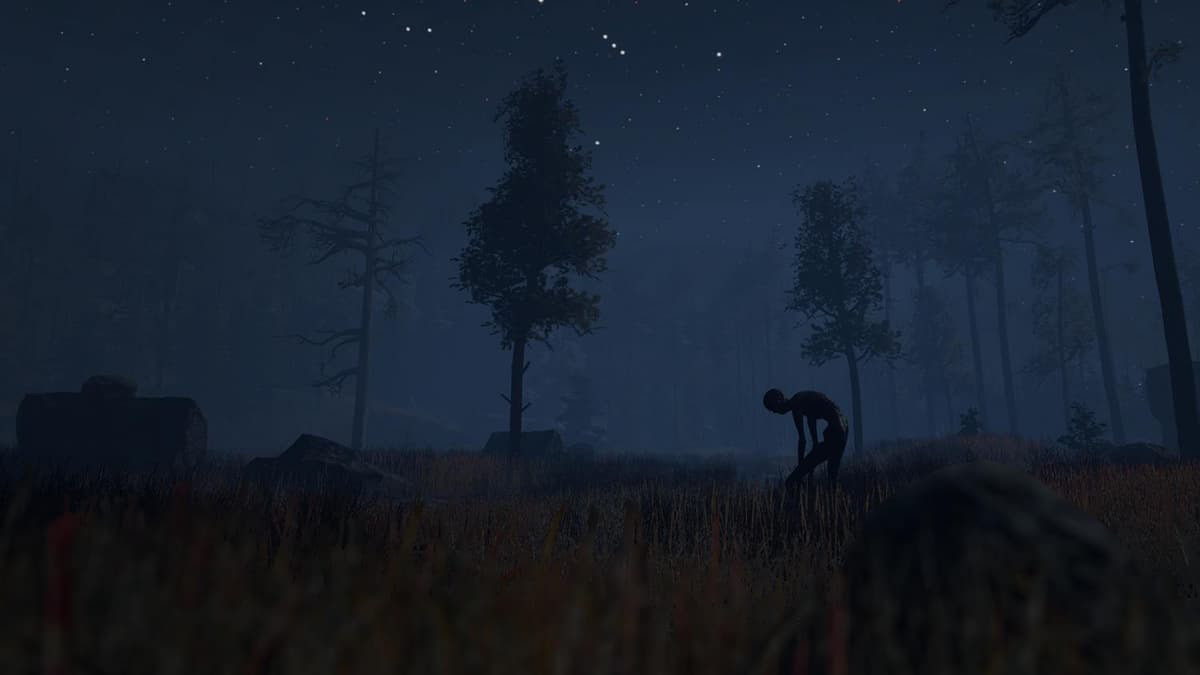 Picture of Through the Woods: Digital Collector's Edition