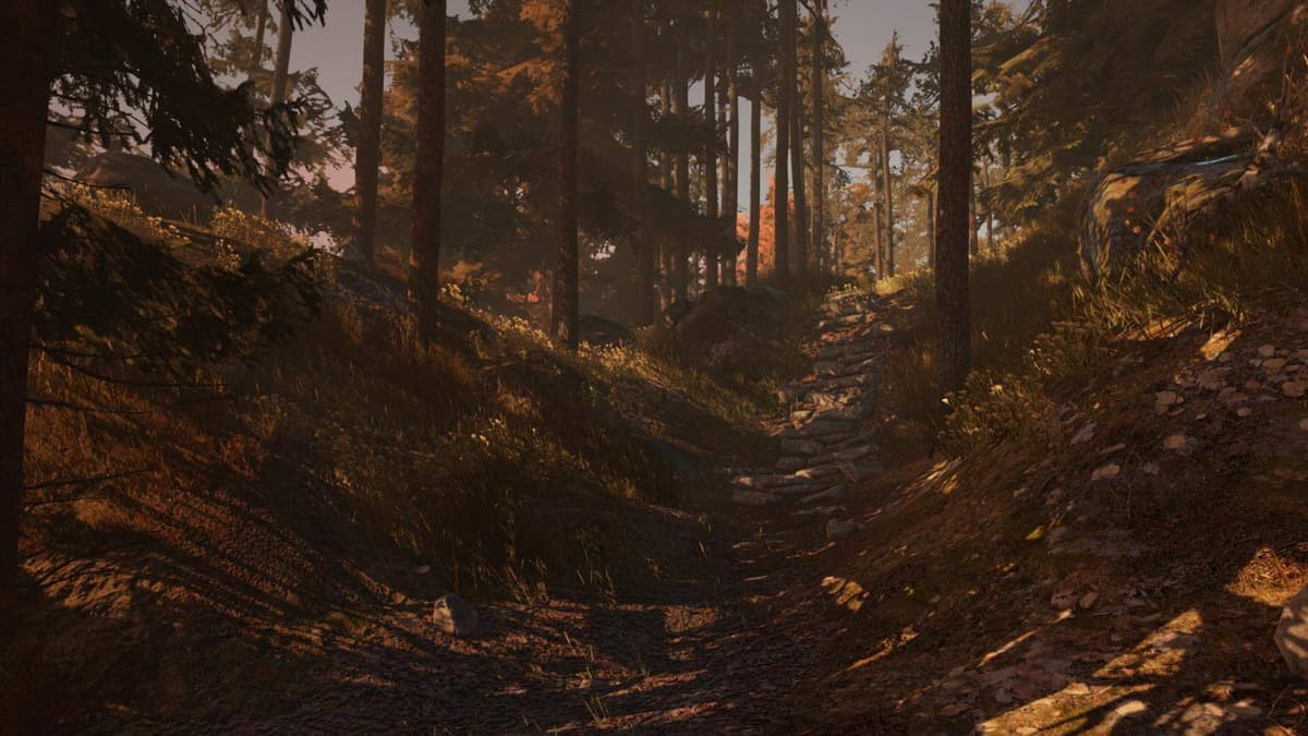 Picture of Through the Woods: Digital Collector's Edition