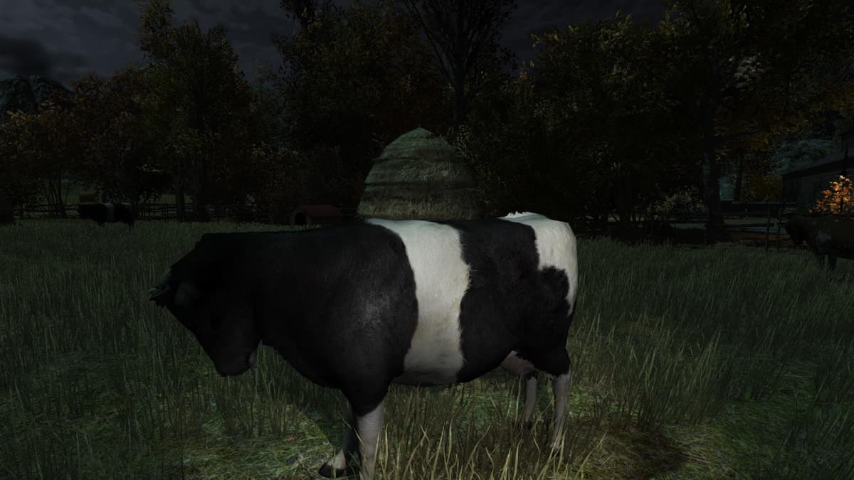 Picture of The Cows Are Watching