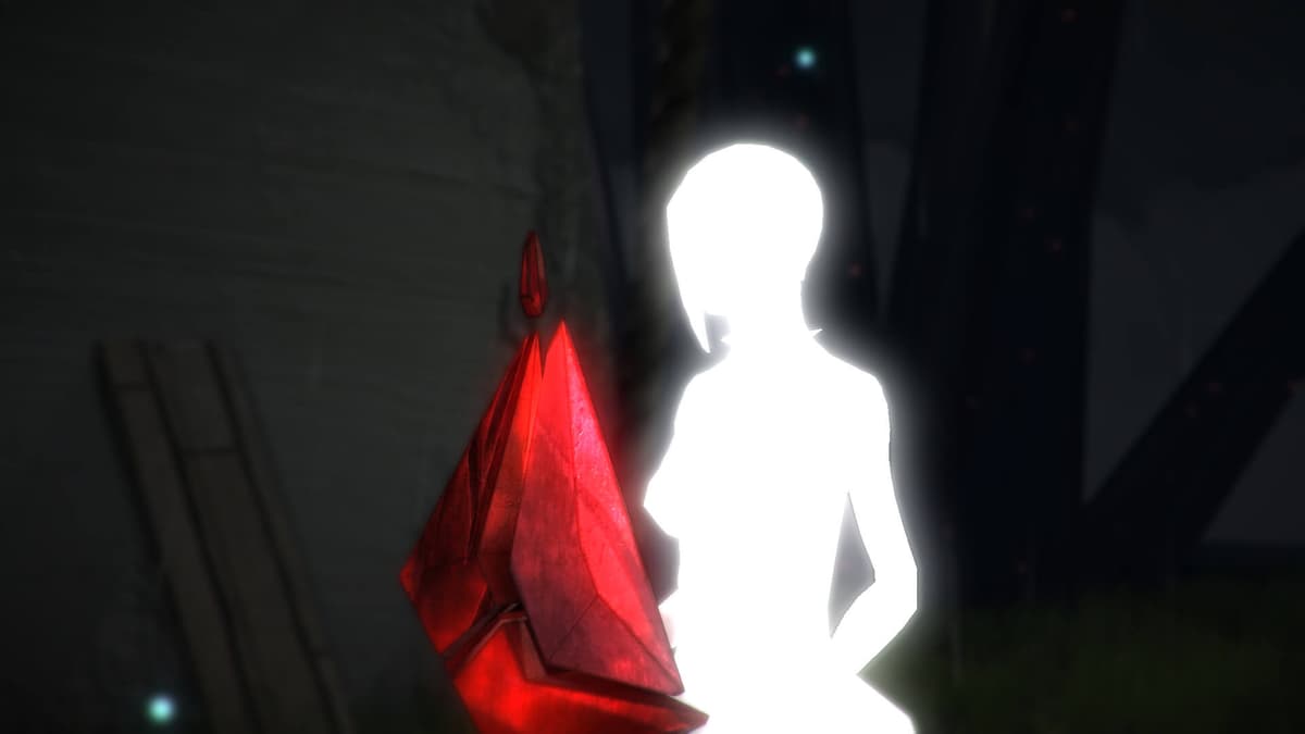 Picture of Unknown Fate