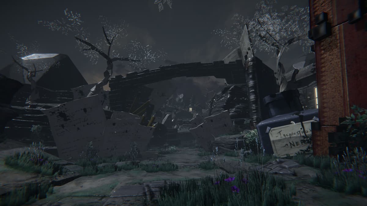 Picture of Unknown Fate