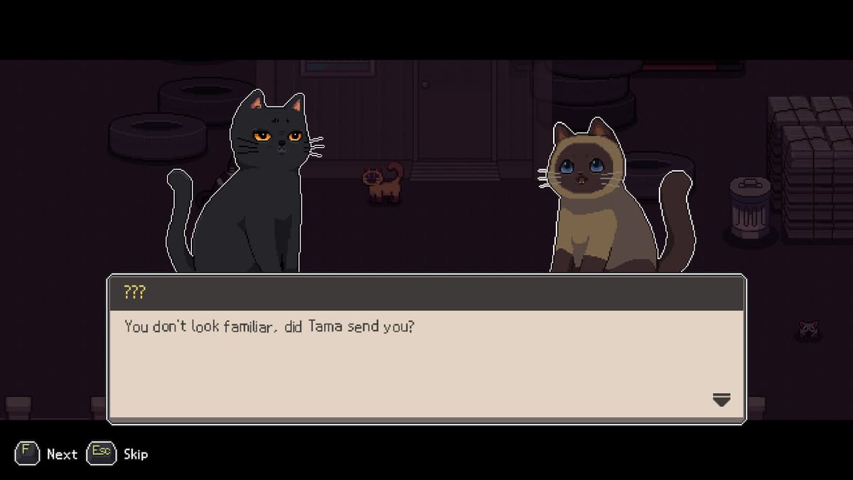 Picture of A Street Cat's Tale 2: Out side is dangerous