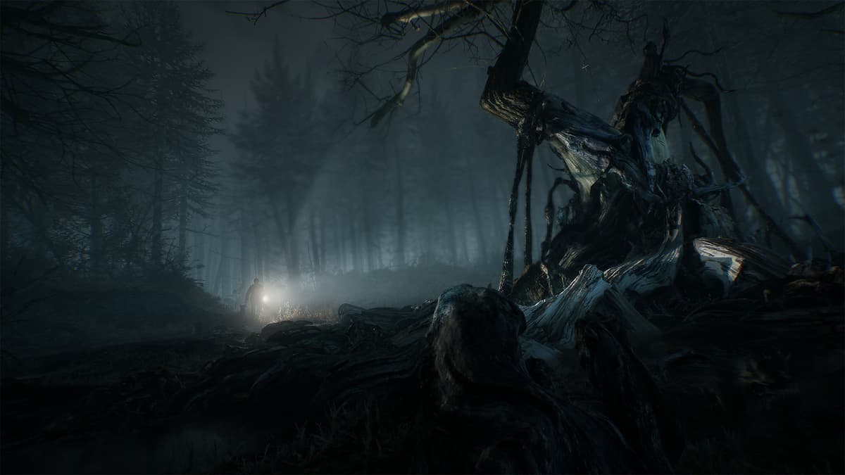 Picture of Blair Witch