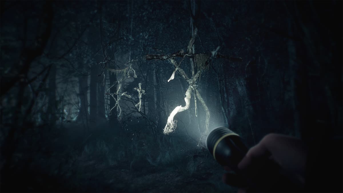 Picture of Blair Witch